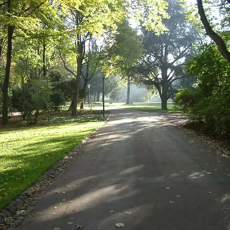 Modernes, Sonniges Im Herzen Von 뒤셀도르프