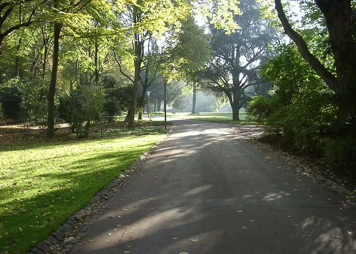 Modernes, Sonniges Im Herzen Von Düsseldorf