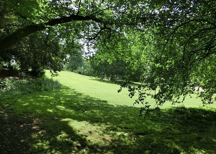 Lejlighed Modernes, Sonniges Im Herzen Von Düsseldorf